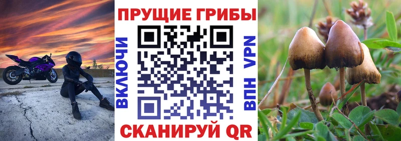 Галлюциногенные грибы Magic Shrooms Серпухов