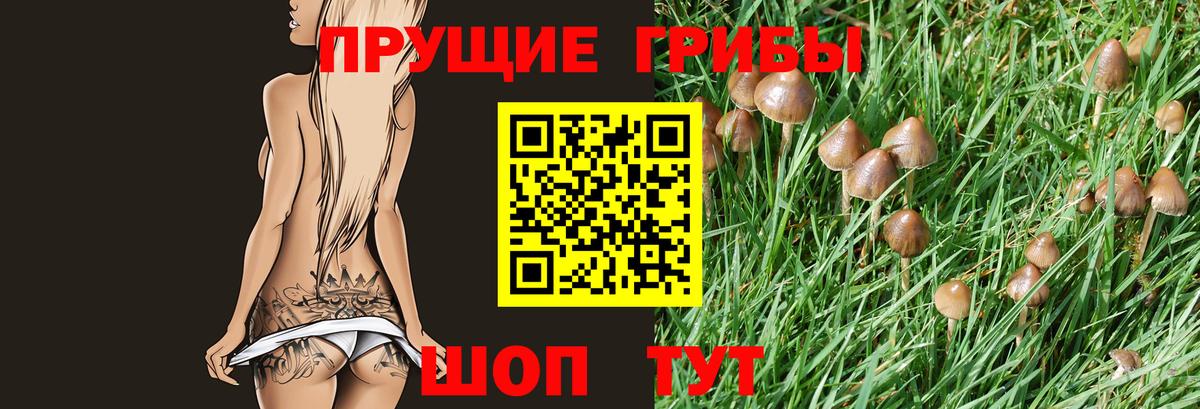 Псилоцибиновые грибы мухоморы Серпухов