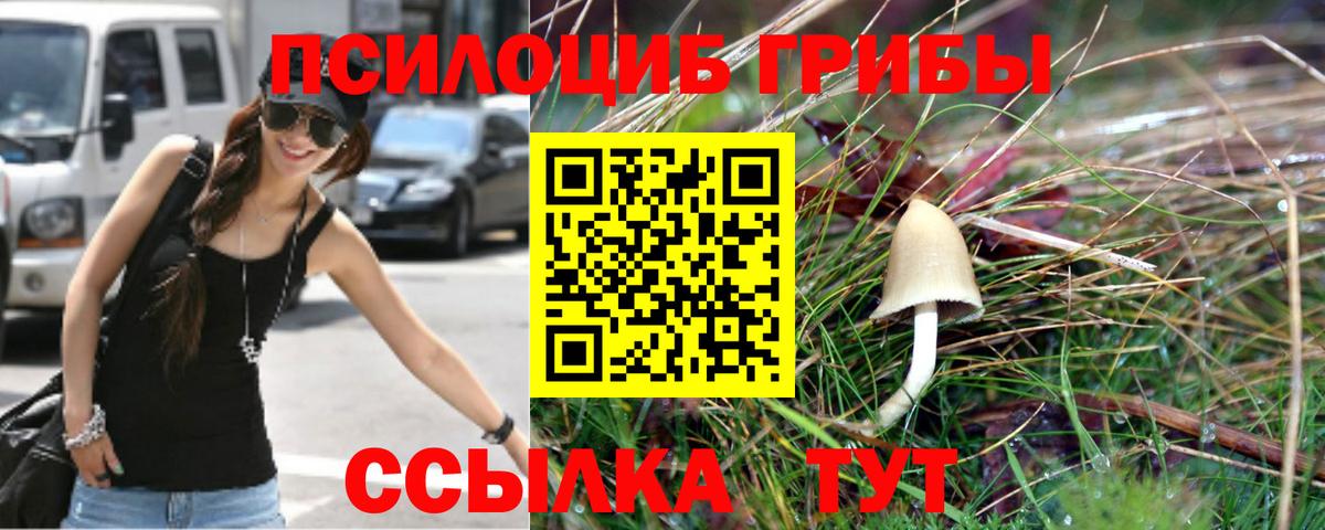 Серпухов  Галлюциногенные грибы GOLDEN TEACHER  Вход с VPN  Галлюциногенные грибы GOLDEN TEACHER 