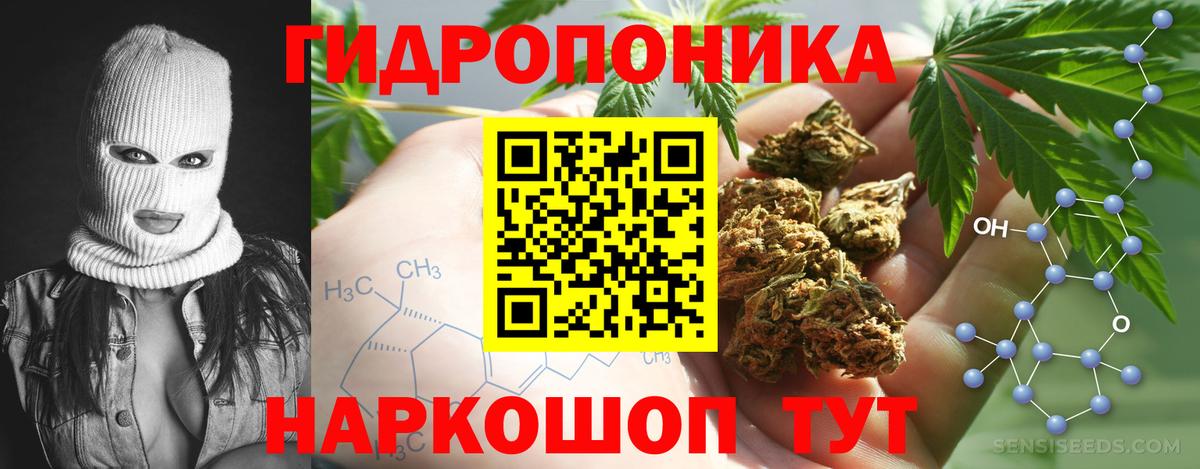 Шишки марихуана марихуана  Каннабис гибрид  Каннабис OG Kush  Серпухов 